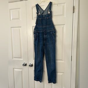 Free people we the free medium wash overalls